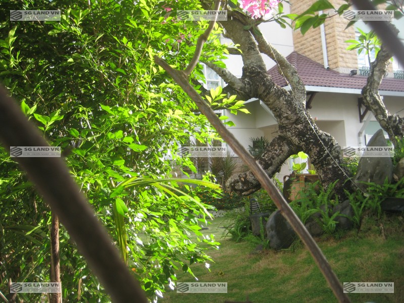 Bán biệt thự compound Thảo Điền 1